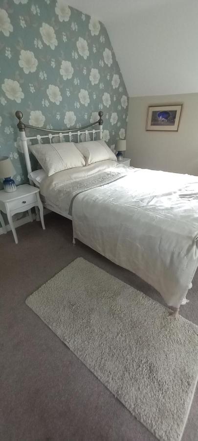 Large Family Home In Wexford Marys B&B Enniscorthy Zewnętrze zdjęcie