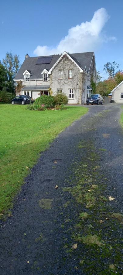 Large Family Home In Wexford Marys B&B Enniscorthy Zewnętrze zdjęcie