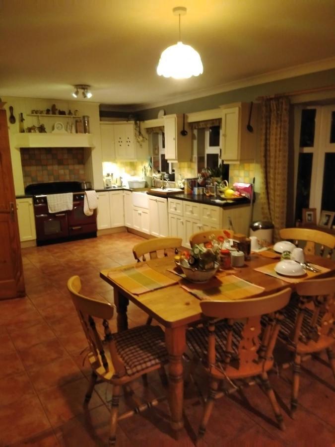 Large Family Home In Wexford Marys B&B Enniscorthy Zewnętrze zdjęcie